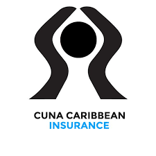 Administration of CUNA Insurance Services