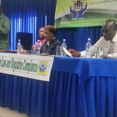 Hon. Frederick Stephenson - Minister of National Mobilization, Social Development, The Family, Etc, addressing the audience (2)