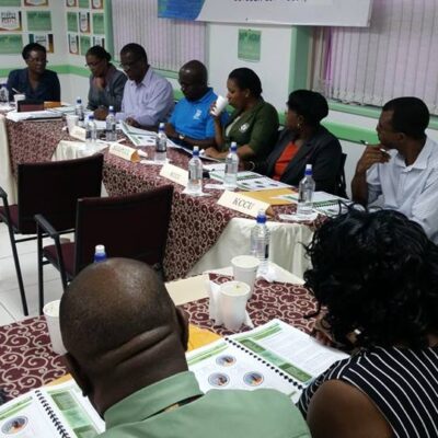 Section of the Meeting. (3)